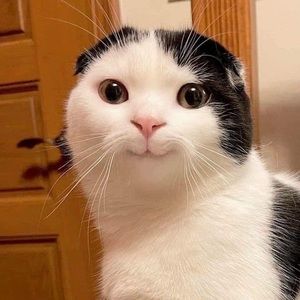 Meet your Posher, Jack